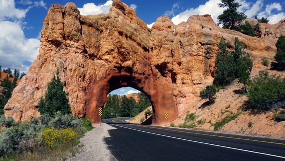 Dixie National Forest