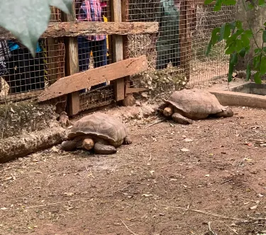 Accra Zoo