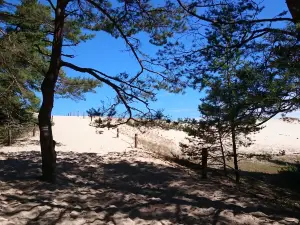 Словиньский национальный парк