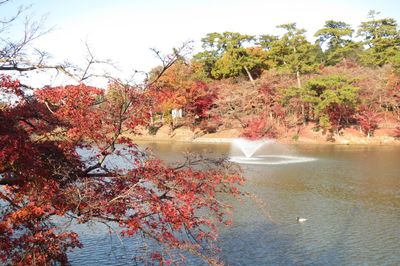 Higashi Park