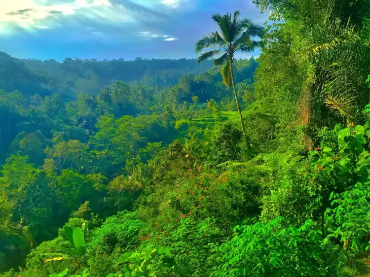 Hotels in der Nähe von Bali Pulina, Tegallang Gianyar