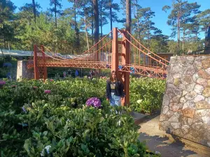Baguio Botanical Garden