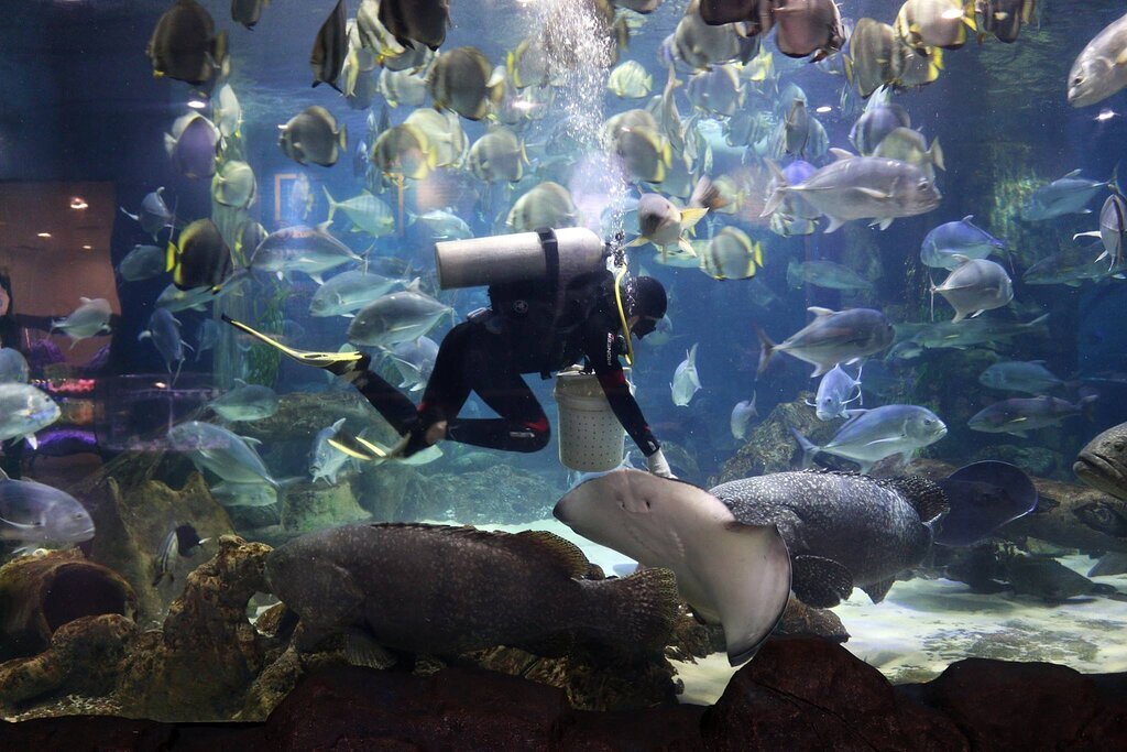 VinKE & Vinpearl Aquarium Times City Ha Noi