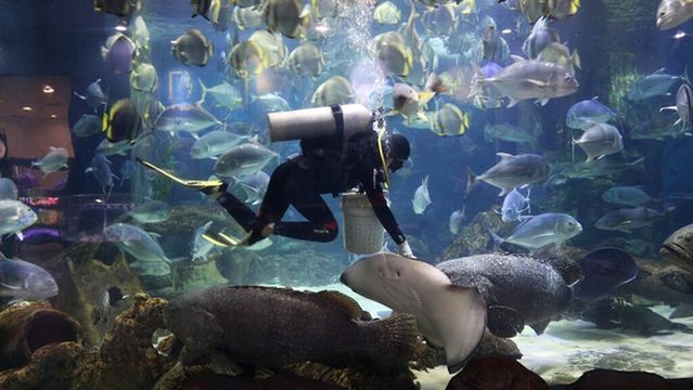 VinKE & Vinpearl Aquarium Times City Ha Noi