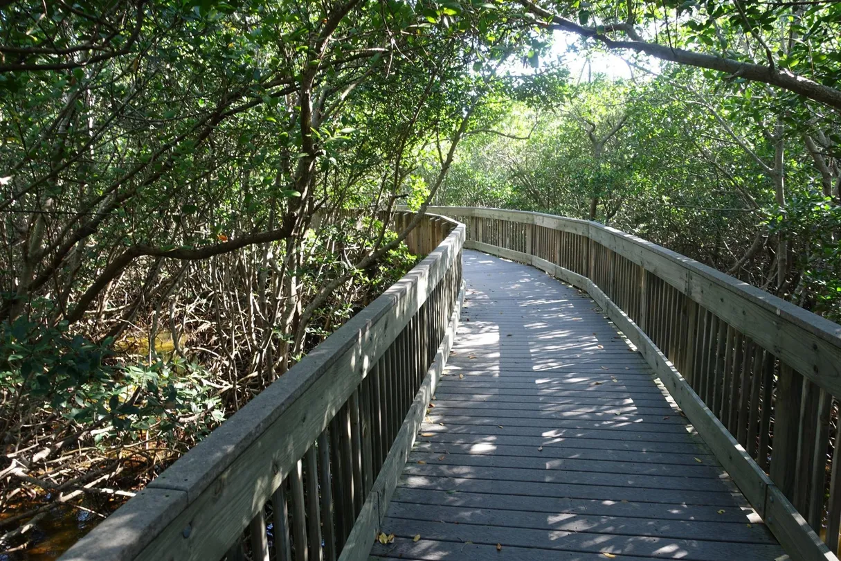 3_Weedon Island Preserve