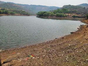 Bhushi dam