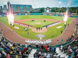 Delta Dental Stadium