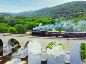 Steam train of Cevennes