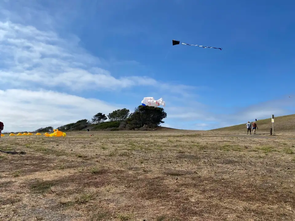 5_Berkeley Marina
