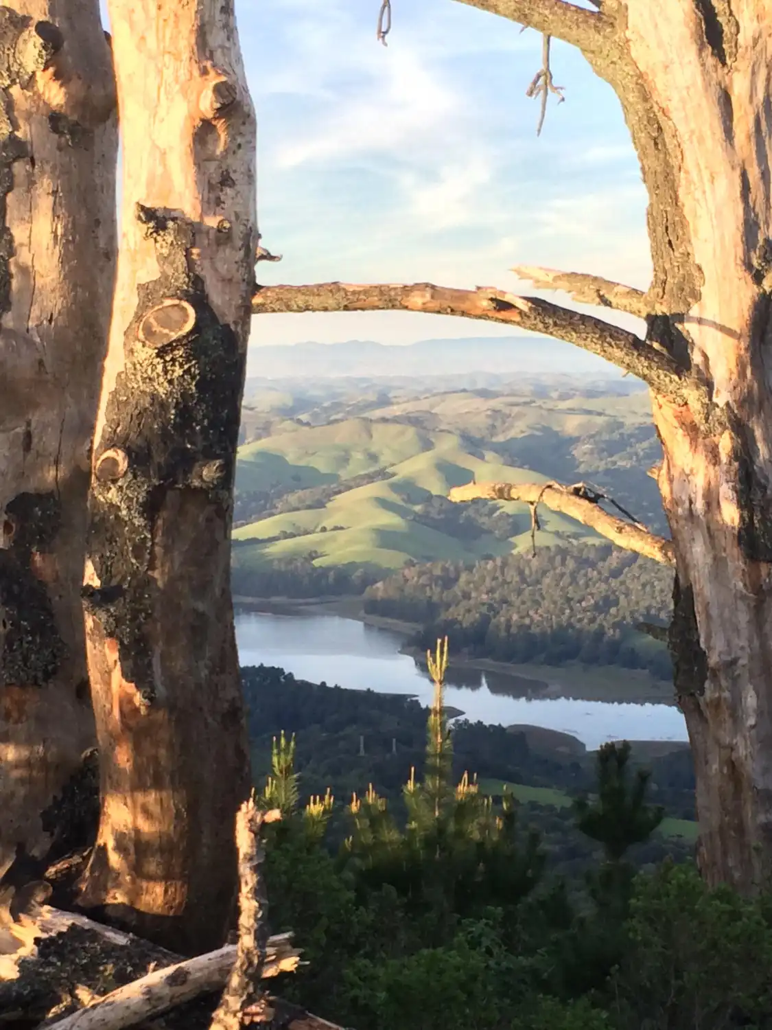 Hotels near Tilden Regional Park