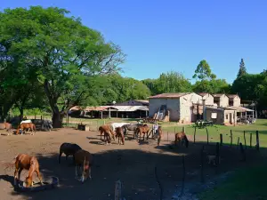 SAYTA RANCH