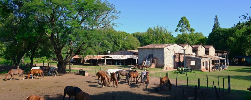 Chicoana Department