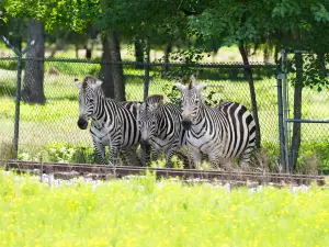 Louisiana Purchase Gardens & Zoo