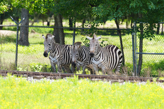 Louisiana Purchase Gardens & Zoo