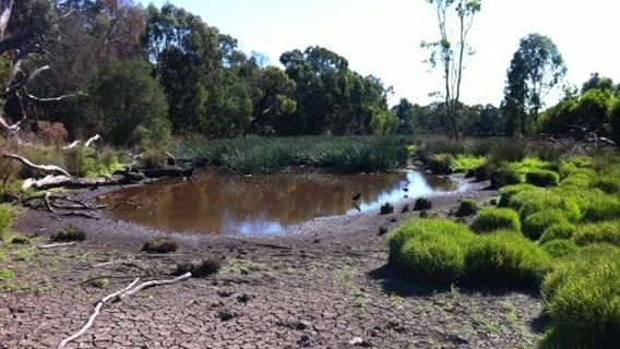 Traralgon Railway Reservoir Conservation Reserve