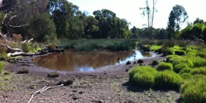 Traralgon Railway Reservoir Conservation Reserve