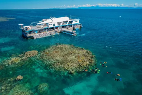 Reef Magic