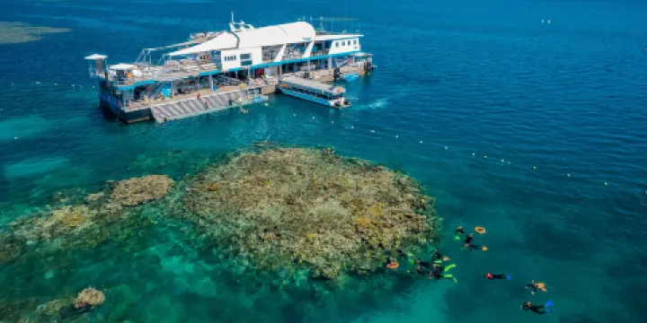 夢幻麗礁號大堡礁遊輪