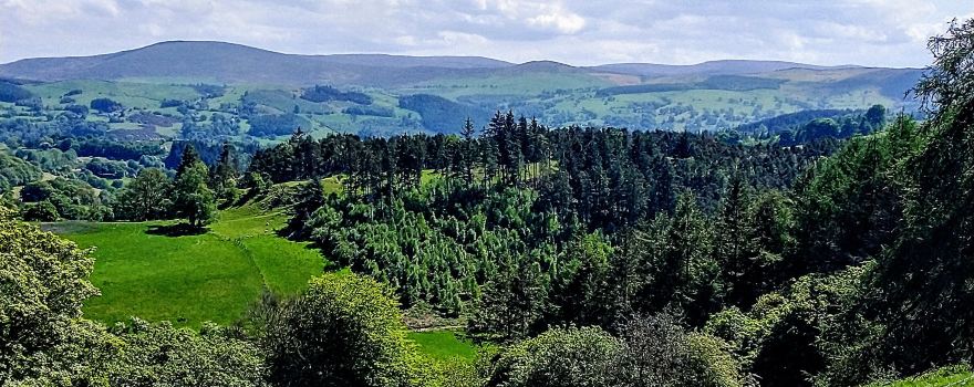 Caerau Gardens