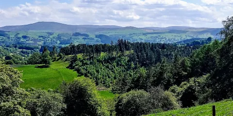 Caerau Uchaf Gardens