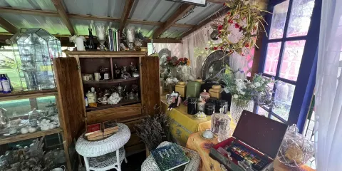 Painted Lady Lavender Farm