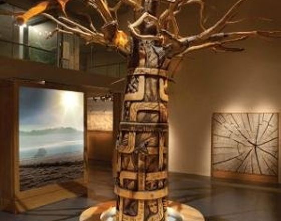 坦敦 自由行套票