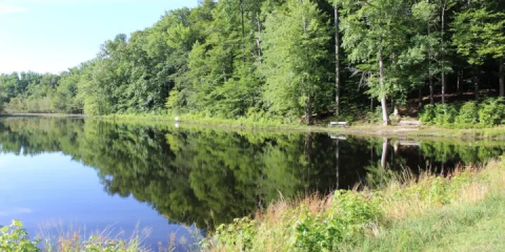 Cedarville State Forest