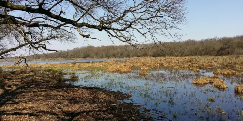 Regional Park Gornje Podunavlje