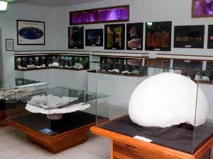 Margarita Marine Museum
