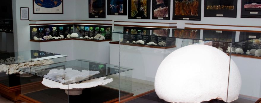 Margarita Marine Museum