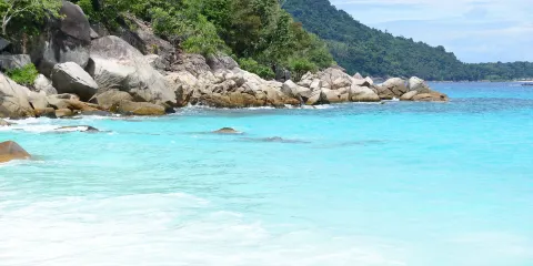Turtle Sanctuary Beach