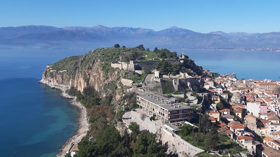 Акронафплия