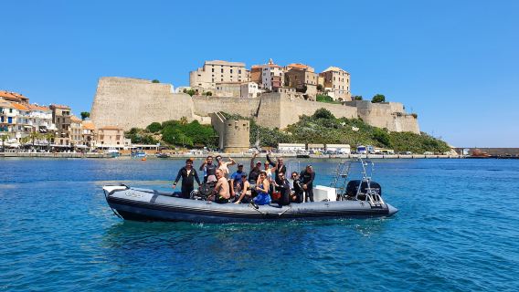 Sea ​​Horse Diving Calvi