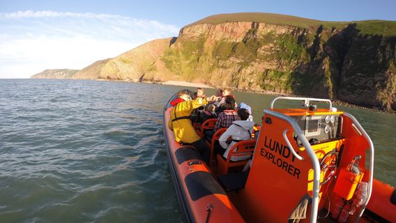 Ilfracombe Sea Safari