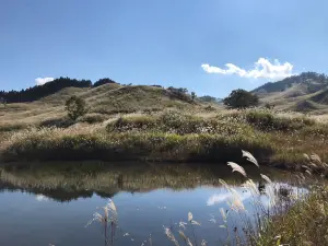 砥峰高原