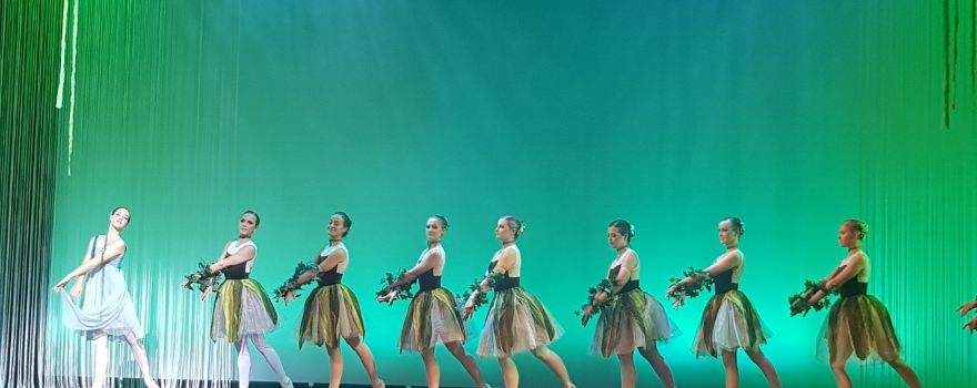 Theater De Purmaryn