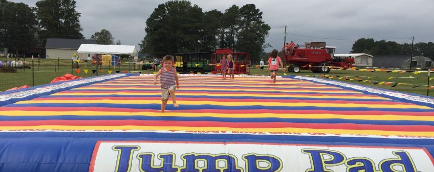 Hubb's Farm (Home of Hubb's Corn Maze)