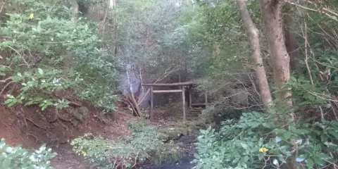 蘆谷の滝