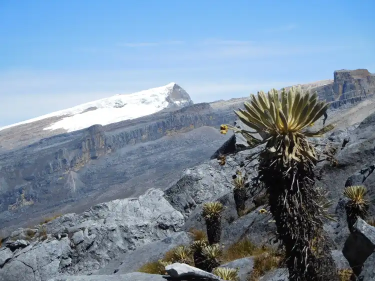 Hôtels à : El Cocuy