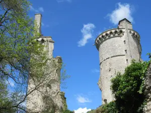Château Charles Vii