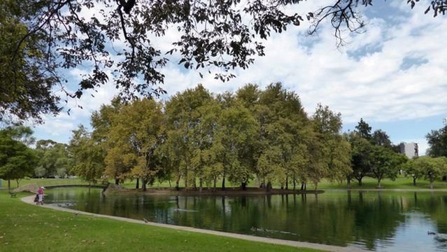 Rymill Park (Park 14)