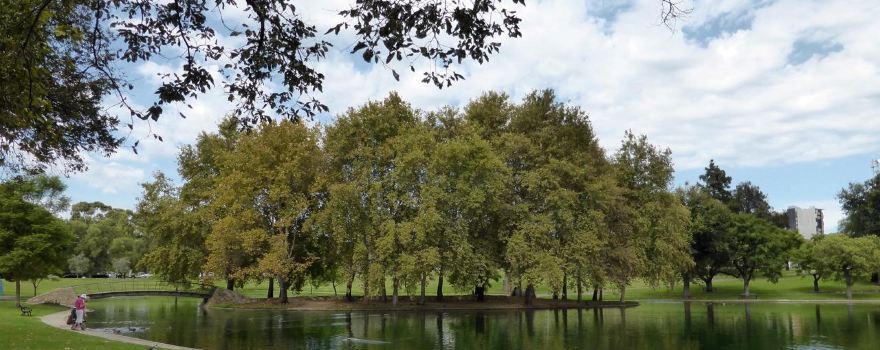Rymill Park