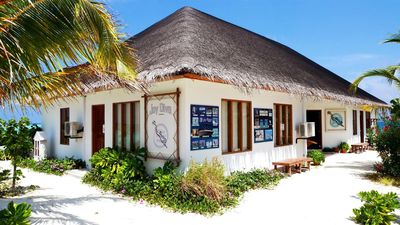 Joy Dive Safari Island