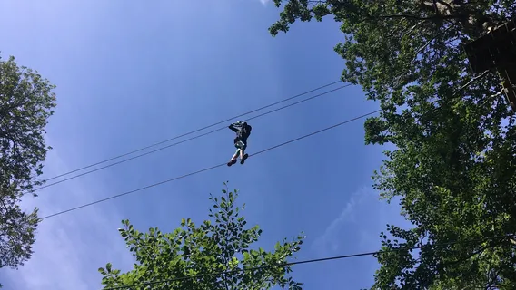 Squirrel's Scramble Tree Adventure Park