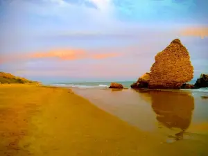 Playa Torre de Rio de Oro