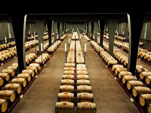 Bodega SOMMOS