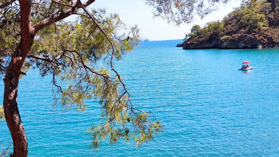 Katrancı Bay Nature Park
