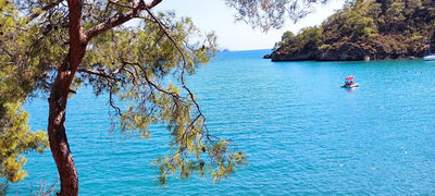 Katrancı Bay Nature Park