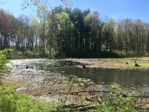 Hawthorn Park- Vigo County Parks and Recreation Department