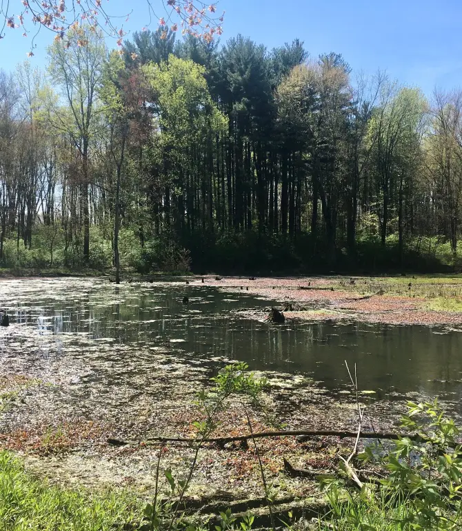 Lost Creek Township